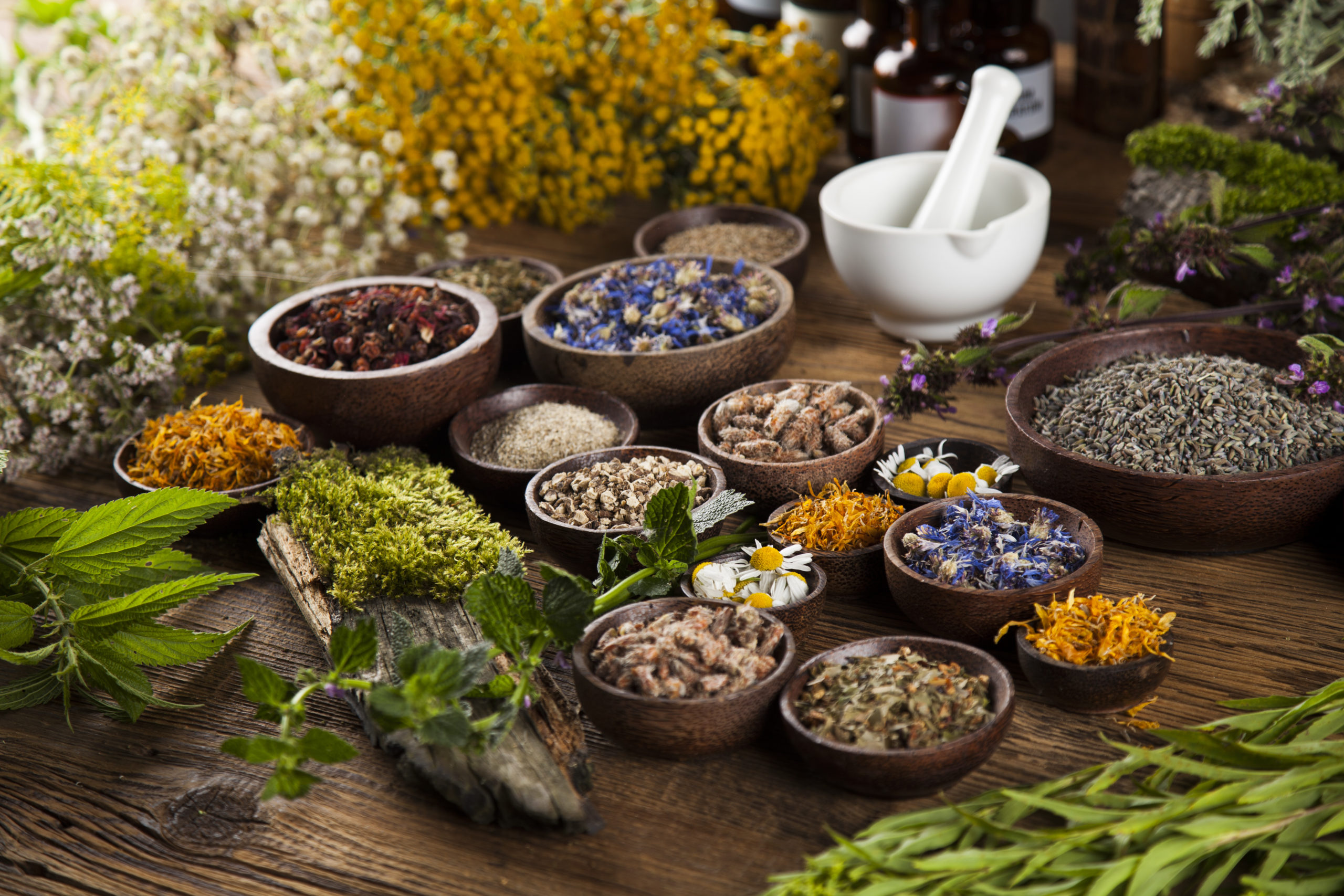 Remedies for Anxiety
